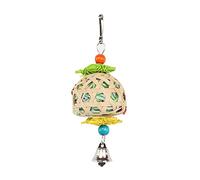 Hanging Parrot Parakeet Small Animal Activity Chew Toy Teeth Grinding Birds African For Cockatiel Conure Teeth Parrot Cage Toy For Large Birds