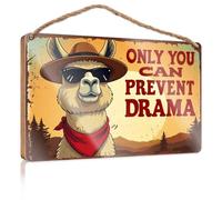 Hanging Signs for Home Decor Only You Can Prevent Drama Porch Decorations Outdoor Posters & Prints(20X30CM)