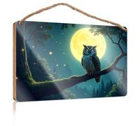 Hanging Signs for Home Decor Owl Perched On A Branch Under A Full Moon Fall Office Decor Kitchen Decorations Wall(20X30CM)