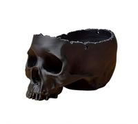 Hanging Skull Plant Planter Pot with Metal Chain & Hook - 6" H Skulls Pot Indoor Plants & Flowers, Skeleton Home Decor Decorations