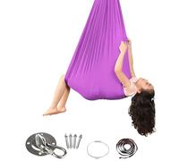 Hanging Swing for Children and Adults, 280 x 150 cm, Soft Nylon, Machine Washable, with Mounting Kit, for Indoor and Outdoor Use (Purple)