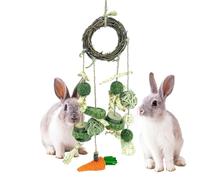 Hanging Toy - Teething Toys, Chew Toys for Small Animals | Handmade Natural Chew Toy | Bird Toys for What