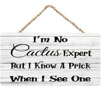 Hanging Wall Sign Wooden, Funny Door Signs I'M No Cactus Expert But I Know A Prick When I See One, For Home Living Room Bedroom Entryway Sunroom Lighthearted Decor 12X8 Inch