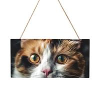 Hanging Wood Sign Cats Have Big Eyes Rectangle Hanging Decorative Wood Plaque Wooden Slices Banners with Ropes for Halloween Christmas Holiday Home Decor