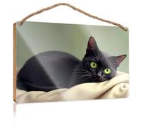 Hanging Wooden Sign DIY A Black Cat with Striking Green Eyes Rests On A Soft Blanket Garden Gifts Funny Hanging Farm Interesting Sign(20X30CM)