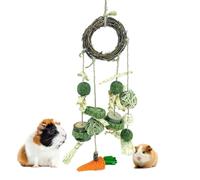 Hangings Bunny Toys Teeth Grinding Health Cage Accessories