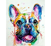 HANJINYU Paint by Numbers for Adult & Kids, DIY Canvas Oil Painting Kit for Adult Kids Beginner, Paint By Number Kits - 16x20 inch Colorful French Bulldog (Without Frame)