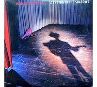 Hank Williams Jr - Standing In The Shadows [2xVinyl]