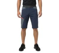 Hannah Torres Shorts Blue L Men