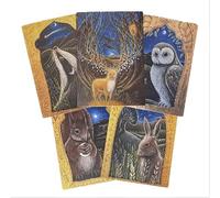 Hannah Willow Silver Stag UK made Pack of 5 Art Greetings Cards - Squirrel, Badger, Owl, Hare and Stag - Birthday Cards