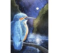 Hannah Willow The Hour before Dawn UK made Art Greetings Card - Kingfisher - Bird - Animals - Birthday Card