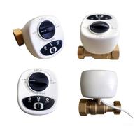 HanOaki WiFi Smart Water Valve, Remote Control via App, Compatible with Alexa/for Voice Commands, Automatic Shut Off, Timer, Copper Electric Ball Valve(DN20)