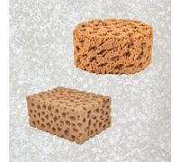 Hanroy Large Sea Sponges for Artists Unbleached 2pc Value Pack Art Texturing Decorators Sponging Great for Home Wall Painting Decorating (HMTZ-2)