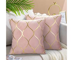 Hanrunsi Cushion Cover 45 x45 cm Pink Pillowcase Velvet Soft Decorative Square Throw Pillow Covers for Outdoor Sofa Couch Living Room Bedroom Bed Farmhouse Decor Set of 2