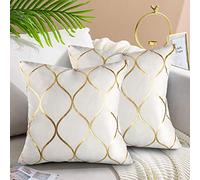Hanrunsi Cushion Covers White 50x50 cm Decorative Elegant Velvet Sofa Cushions 2 Pack Soft Pillowcases Golden Painted Decorative Throw Pillow Cases for Sofa Couch Living Room