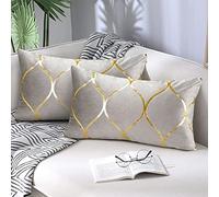 Hanrunsi Grey Cushion Covers Velvet 30 x 50cm Rectangle Pillowcase Decorative Throw Pillow Covers 12 x 20 inch for Sofa Bedroom Living Room Pack of 2