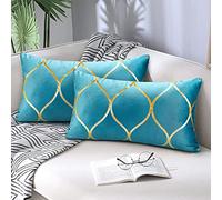 Hanrunsi Teal Blue Cushions Cover Oblong Velvet Pillow Covers 30x50 cm Modern Decorative Cushions for Sofa Set of 2 12 x 20 inch Pillowcase