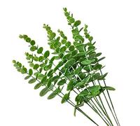 HANRUO Artificial Single Eucalyptus Stem Green Fake Eucalyptus Wedding Bride Bouquet Home Decorations Garland Plants (Color : Green)