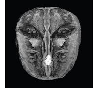 Hans Joachim Irmler - Die Gesänge des Maldoror [VINYL]