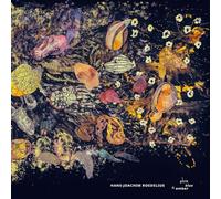 Hans-Joachim Roedelius - Pink Blue & Amber