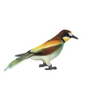 Hansa 8120 European Bee Eater 25cm. L