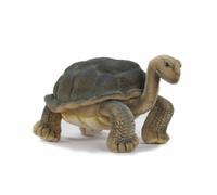 Hansa Galapagus Turtle Plush Soft Toy 6461 Brand New With Tags UK Seller