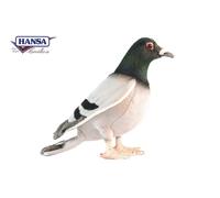 Pigeon 6299 Plush Soft Toy Bird by Hansa Creation Sold by Lincrafts UK Est. 1993