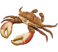 Hansa Plush Crab 40 cm L