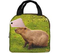hansgo Funny Capybara Insulated Lunch Box Waterproof Thermal Cooler Lunch Tote Bag for Work, University, Fishing, Hiking, Picnics