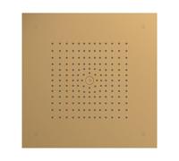 hansgrohe Raindance E - Water-Saving Head Shower (EcoSmart) Ceiling Integrated, Rainfall Shower Head (400 x 400 mm), 1 Spray, for Ceiling mounting, Anti-limescale, Brushed Bronze, 26253140