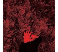 Hanson,Cory - The Unborn Capitalist From Limbo [VINYL]