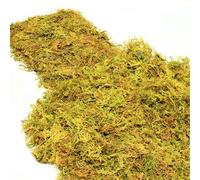 HanYun 80g Sphagnum Moss for Plant, Artificial Moss Decorative for Indoor Plant Pots Fake Green Grass for Garden Floral Arrangements and DIY Decorations (Natural Color)
