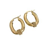 Hao Wu Xuan 316L Stainless Steel Chunky Oval Earrings For Women Charm Gold Color Hoop Earrings Fashion Jewelry Gift