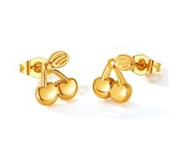 Hao Wu Xuan Japanese and Korean Fashion Niche Design Earrings Stainless Steel Simple and Exquisite Fruit Cherry Women's Earrings