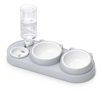 Hao Zhu Cat Bowls, Tilted Cat Feeding Bowls for Kittens, 500ml Grey | Cat bowls with stand tilted: 15° tilt, anti-slip grey, eases neck pain; ideal kitten bowls for fussy eaters & small dogs.