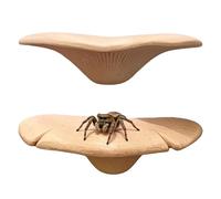 HAOBIN Pack of 2 Jumping Spiders Accessories Mushroom Meat Colour Enclosure Accessories for Pet Jumping Spiders Realistic Climbing Protrusions for Jumping Spiders Terrarium Observation Breeding