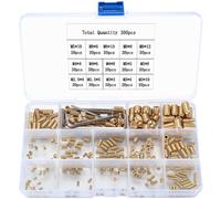 HAOCHEN 300 Pieces Grub Screws, Thread Inserts Screw Assortment Kit, M2.5/M3/M4/M5/M6/M8 Hexagon Screws Alloy Carbon Steel with Allen Wrenches - Gold