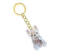 Haodream 2 Lightweight Pet Memorial Keychain Compact Clear Case for Dog Hair & Cremation Ashes Storage On-the-Go Clear Memorial Box Keychain