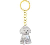 Haodream 2 Lightweight Pet Memorial Keychain Compact Clear Case for Dog Hair & Cremation Ashes Storage On-the-Go Clear Memorial Box Keychain