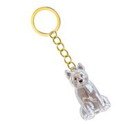 Haodream 2 Lightweight Pet Memorial Keychain Compact Clear Case for Dog Hair & Cremation Ashes Storage On-the-Go Clear Memorial Box Keychain