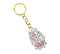 Haodream 2 Lightweight Pet Memorial Keychain Compact Clear Case for Dog Hair & Cremation Ashes Storage On-the-Go Clear Memorial Box Keychain