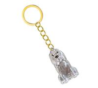 Haodream 2 Lightweight Pet Memorial Keychain Compact Clear Case for Dog Hair & Cremation Ashes Storage On-the-Go Clear Memorial Box Keychain