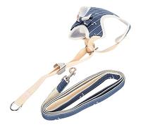 Haofy Cat Vest Adjustable Belt Comfortable Secure Fit for Cats 10-16 Pounds Lightweight Polyester Cotton Material Ideal Daily Walks Outdoor Adventures Home Safety Elegant Design (Large size