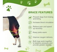 Haofy Dog Knee Brace Wrap Harness Set Adjustable Comfortable Breathable Hind Leg Support Brace for Recovery Joint Injury Rehabilitation (L)