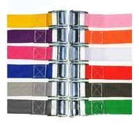 Haofy Heavy Duty Lock Buckle Tie Down Lashing Strap for Cargo Secure, Multipurpose Tensioning Belt for Motorcycle, Truck, 1 X Buckle Tie Down Strap (Colors shipped randomly)
