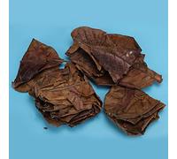 Haofy Natural Terminalia Catappa Leaf for Aquarium Water Quality Improvement - Lower PH Value and Enhance Filtration - 1 Pack - 100%