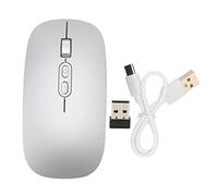 Haofy Portable Mouse, Wireless Mouse, 49.2 Feet Working Distance, Sensitive Dual Mode, Quiet and Comfortable Grip for PC for Windows (Silver Grey)