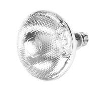 Haofy Poultry Heat Lamp, Waterproof Thick Heat Light Bulb for Pig Piglet Pet Brooder Coop Chicken Duck, Explosion-Proof Light Bulb Dot (Silver 175W)
