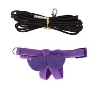 Haofy Purple Bird Harness Leash, Adjustable Bird Flying Harness & Leash for Parrots Pigeons, Comfortable Handle, Premium Flying Material, Made for Training (Purple)
