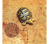 Haofy Reptile Mat, Natural Coconut Fiber Substrate for Lizards and Turtles, Soft Absorbent Carpet 60 X 100cm for Snake and Iguana (Brown)